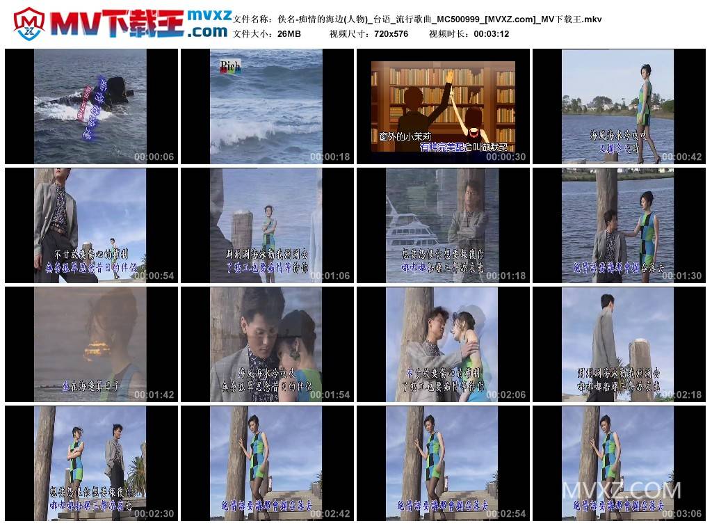 佚名-痴情的海边(人物)_台语_流行歌曲_MC500999